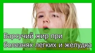 Борсуковий жир при бронхіті застосування, лікування і відгуки (борсук жир бронхіт застосування лікування відгук) Борсуковий жир при бронхіті застосування, лікування і відгуки