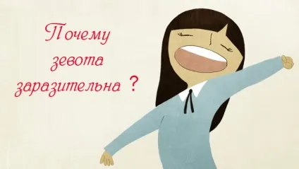 Безпечна «інфекція», або чому позіхання заразлива (чому позіхання заразливе) Безпечна «інфекція», або чому позіхання заразливе