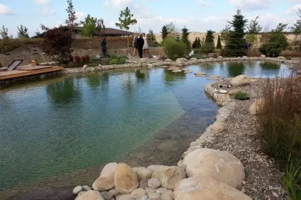Басейн або плавальний ставок, який ще називають еко-водойму (еко-водойму) Басейн або плавальний ставок, який ще називають еко-водойму