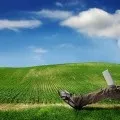 Бізнес на сайтах, як заробляти більше 100 000 рулів на своєму сайті (бізнес) Бізнес на сайтах, як заробляти більше 100 000 рулів на своєму сайті