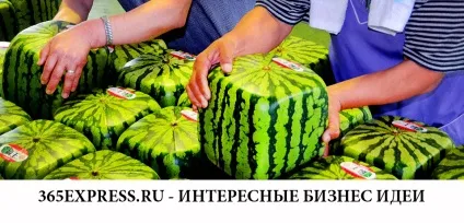 Бізнес-ідея ортопедичний салон (100% Окупаються вкладення) Бізнес-ідея ортопедичний салон
