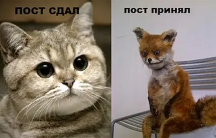 Блог рудої лисиці укурений лисиць - герой сьогоднішнього інтернету (укурений) Блог рудої лисиці укурений лисиць - герой сьогоднішнього інтернету