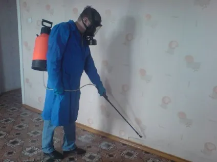 Блохи в квартирі