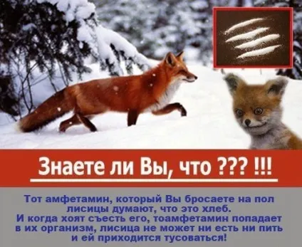 Блог рудої лисиці укурений лисиць - герой сьогоднішнього інтернету (укурений) Блог рудої лисиці укурений лисиць - герой сьогоднішнього інтернету