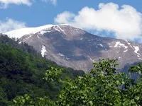Абхазія в травні, травневі свята в Абхазії, тури до Абхазії в травні, відпочинок в травні в Абхазії (рублів людини добу) Абхазія в травні, травневі свята в Абхазії, тури до Абхазії в травні, відпочинок в травні в Абхазії