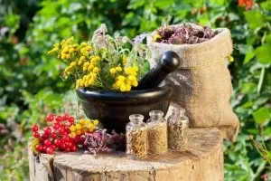 9 Рецептів для лікування застарілого кашлю народними засобами (протягом після прийому) 9 Рецептів для лікування застарілого кашлю народними засобами
