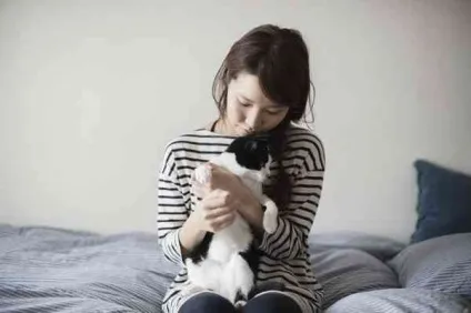 9 Цікавих речей про кішок, які потрібно знати (додому) 9 Цікавих речей про кішок, які потрібно знати