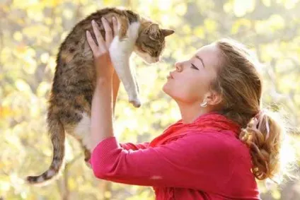 9 Цікавих речей про кішок, які потрібно знати (речей) 9 Цікавих речей про кішок, які потрібно знати