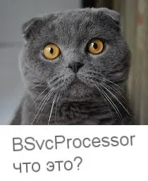 Bsvcprocessor що це за програма і чому з'являється помилка