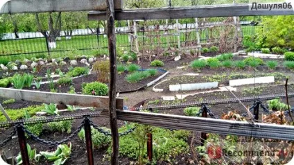 Церква архангела Михаїла, татарстан, дрожжановскій район, Україна - «ви коли небудь бачили як з