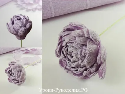 Букет хризантем з паперу - уроки рукоділля (гофровані квіти) Букет хризантем з паперу - уроки рукоділля