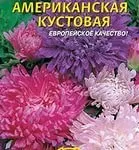 Через скільки днів сходять айстри (року схожість насіння) Через скільки днів сходять айстри