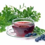Чорниця при цукровому діабеті листя і пагони для діабетиків, користь і шкода (листя) Чорниця при цукровому діабеті листя і пагони для діабетиків, користь і шкода
