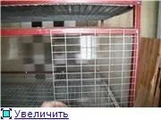 Креслення клітин для курей несучок (креслення) Креслення клітин для курей несучок