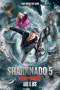 Чорний кіт рудольф 2016 онлайн в hd 720 (дівчинка) Чорний кіт рудольф 2016 онлайн в hd 720