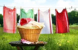 Чорна цвіль на стінах як позбутися, вплив на здоров'я (вплив) Чорна цвіль на стінах як позбутися, вплив на здоров'я