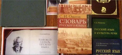 Чим відрізняється ожеледь від ожеледиці (ожеледь) Чим відрізняється ожеледь від ожеледиці