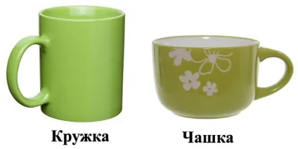 Чим чашка відрізняється від гуртки, в чому різниця (гуртки) Чим чашка відрізняється від гуртки, в чому різниця