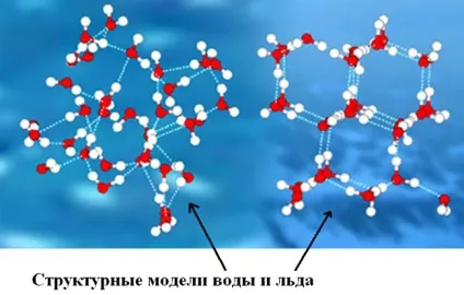 Чим відрізняються молекули води і молекули льоду, в чому різниця (відрізняються) Чим відрізняються молекули води і молекули льоду, в чому різниця