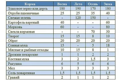 Чим годувати качок - що їдять качки, правила складання комбікорми в домашніх умовах, відгодівлю і (складання) Чим годувати качок - що їдять качки, правила складання комбікорми в домашніх умовах, відгодівлю і