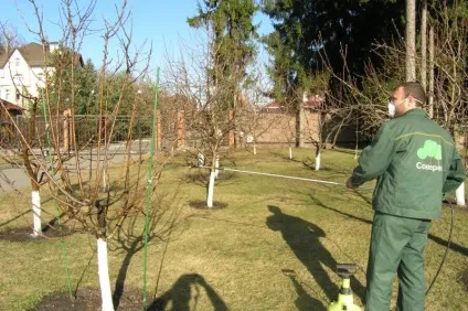 Чим обробити сад ранньою весною огляд засобів, від шкідників (коштів) Чим обробити сад ранньою весною огляд засобів, від шкідників