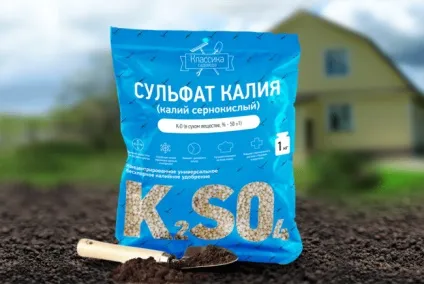 Чим підгодувати розсаду баклажанів і перцю для росту в теплиці і відкритому грунті