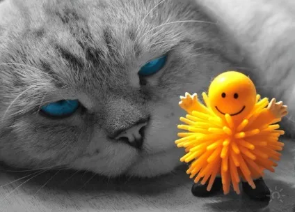 Чим зайнятися на роботі, коли нудно, first steps (нудно) Чим зайнятися на роботі, коли нудно, first steps