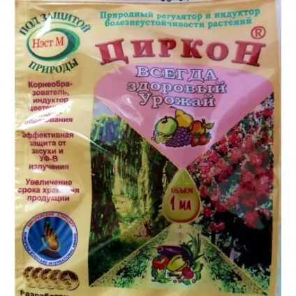 Чим обробити абрикос від моніліозу корисні поради (обробити) Чим обробити абрикос від моніліозу корисні поради