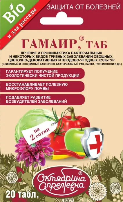 Чим обробити абрикос від моніліозу корисні поради (абрикос) Чим обробити абрикос від моніліозу корисні поради