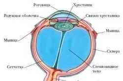 Що робити, якщо смикається нерв під оком (нерв) Що робити, якщо смикається нерв під оком