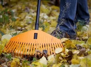 Що потрібно зробити в саду, городі восени (зробити) Що потрібно зробити в саду, городі восени