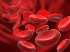 Що потрібно їсти для підвищення гемоглобіну (потрібно) Що потрібно їсти для підвищення гемоглобіну