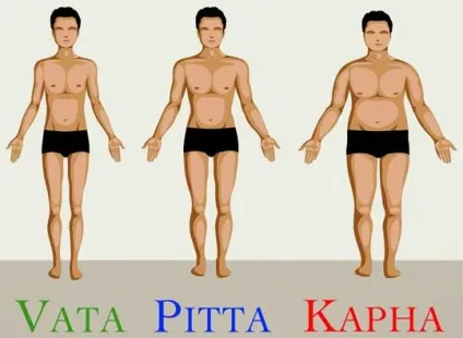 Що таке доши в аюрведою