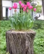Що таке Рутар, приватний будинок (таке) Що таке Рутар, приватний будинок