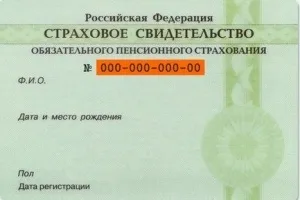 Що значить інн, як отримати свідоцтво інн (свідоцтво інн) Що значить інн, як отримати свідоцтво інн