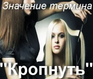 Що значить кропнутих як зрозуміти слово кроп сенс і значення терміна (значення) Що значить кропнутих як зрозуміти слово кроп сенс і значення терміна