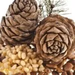 Цинк користь і шкода, в яких ппродуктах міститься (користь) Цинк користь і шкода, в яких ппродуктах міститься