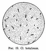 Clostridium botulinum, санітарний контроль