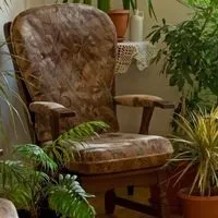Квітка хлорофітум догляд, flowery-blog (догляд) Квітка хлорофітум догляд, flowery-blog