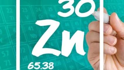 Цинк користь і шкода, в яких ппродуктах міститься (цинк) Цинк користь і шкода, в яких ппродуктах міститься