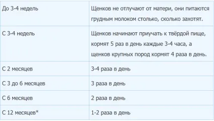 Скільки їжі в день давати собаці (день) Скільки їжі в день давати собаці