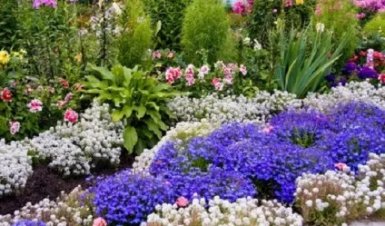 Квітник на дачі фото, як зробити і спланувати квітник на дачі, дизайн оформлення квітників (спланувати) Квітник на дачі фото, як зробити і спланувати квітник на дачі, дизайн оформлення квітників