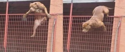 Так що ви знаєте про незручних моментах фотодобірка (моментах) Так що ви знаєте про незручних моментах фотодобірка