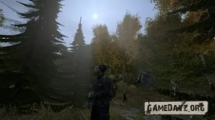 Dayz standalone виживання