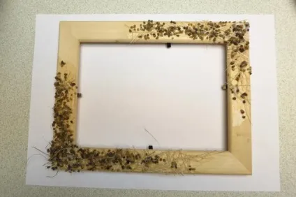 Декор фоторамки в морському стилі - ярмарок майстрів - ручна робота, handmade (флористика) Декор фоторамки в морському стилі - ярмарок майстрів - ручна робота, handmade