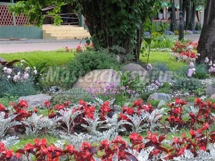 Робимо альпійську гірку своїми руками (своїми) Робимо альпійську гірку своїми руками