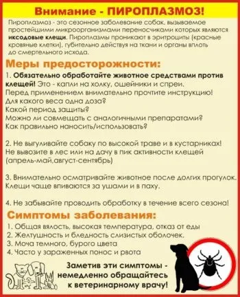 Чи роблять щеплення від кліщів для собак (собак) Чи роблять щеплення від кліщів для собак