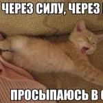 Дівчата, який жах, я прийняла постинор (дівчинки) Дівчата, який жах, я прийняла постинор