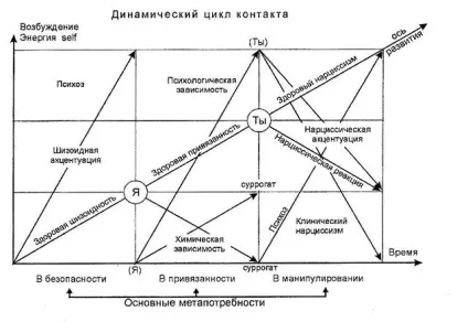 Динамічний цикл контакту в гештальт-терапії