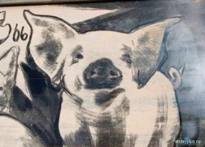 Dirty car art